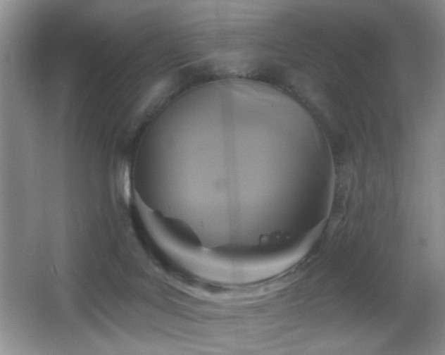 X0000066010027200603031235