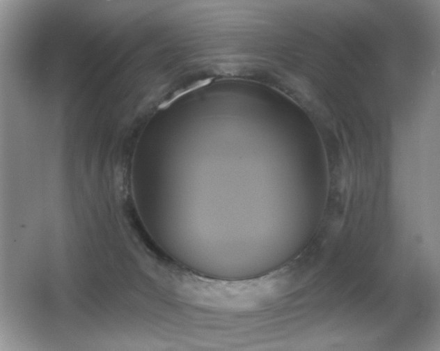 X0000066010031200603031235