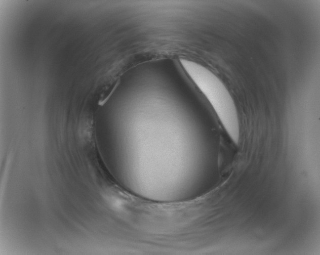 X0000066010033200603031235