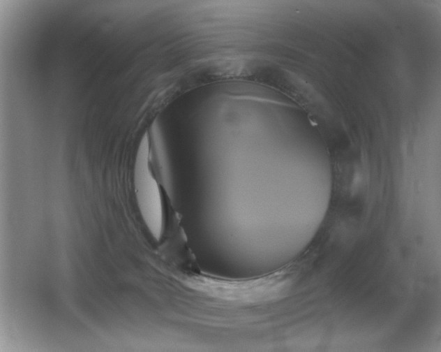 X0000066010035200603031234