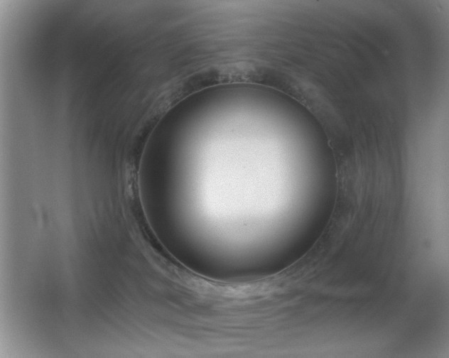 X0000066010038200603031234