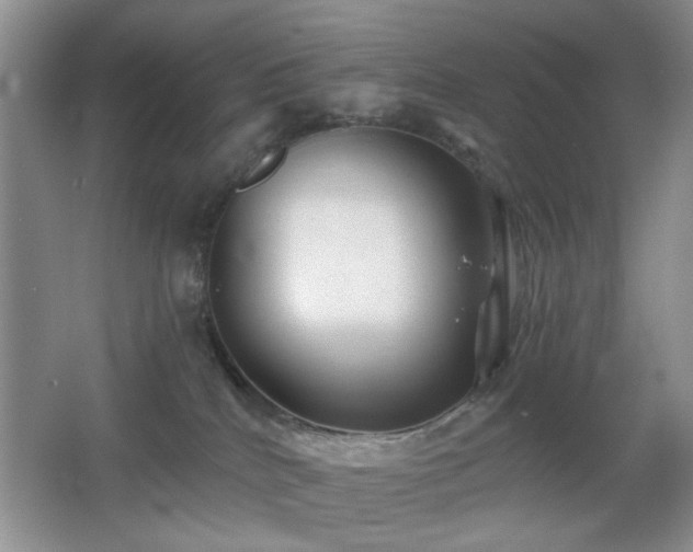 X0000066010040200603031234