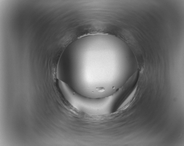 X0000066010045200603031234