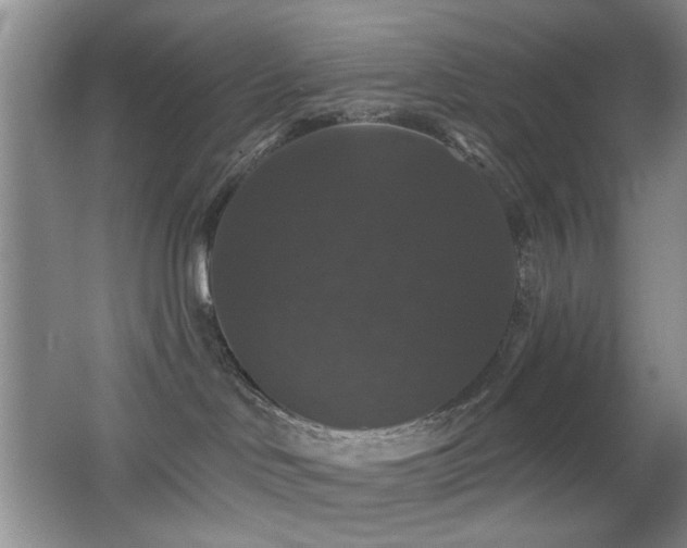 X0000066010046200603031234