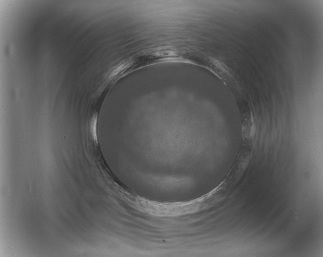 X0000066010047200603031234