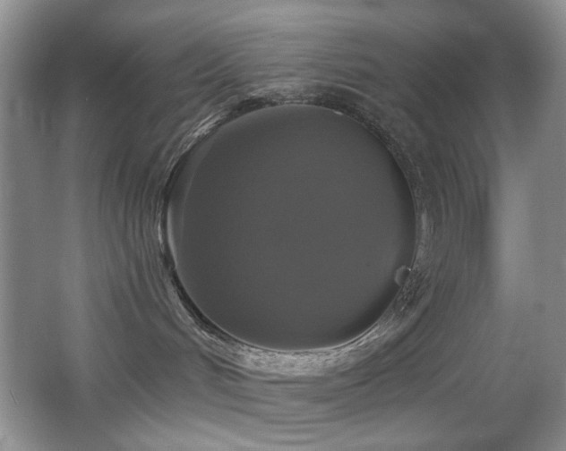 X0000066010048200603031234