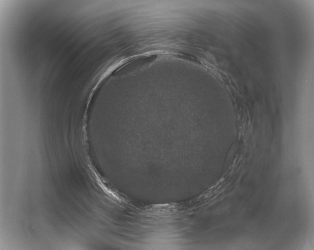 X0000066010050200603031233