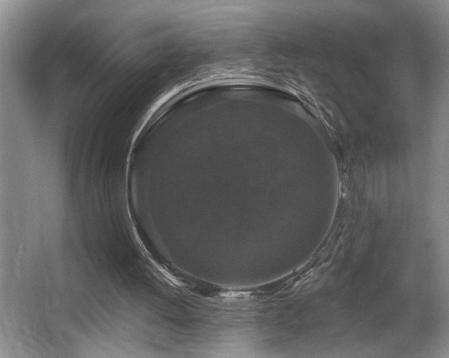 X0000066010052200603031234