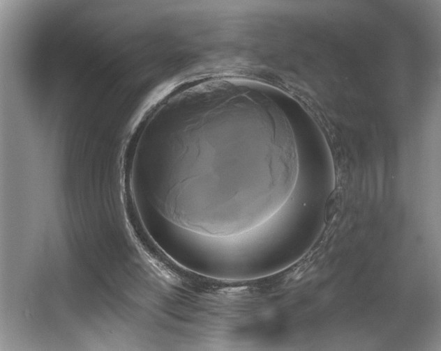 X0000066010054200603031234