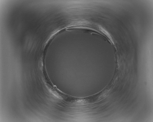 X0000066010059200603031234