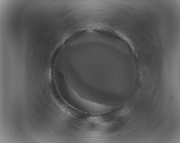 X0000066010067200603031234