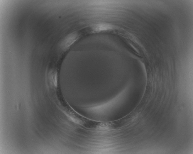 X0000066010076200603031234