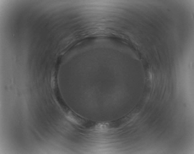 X0000066010080200603031234