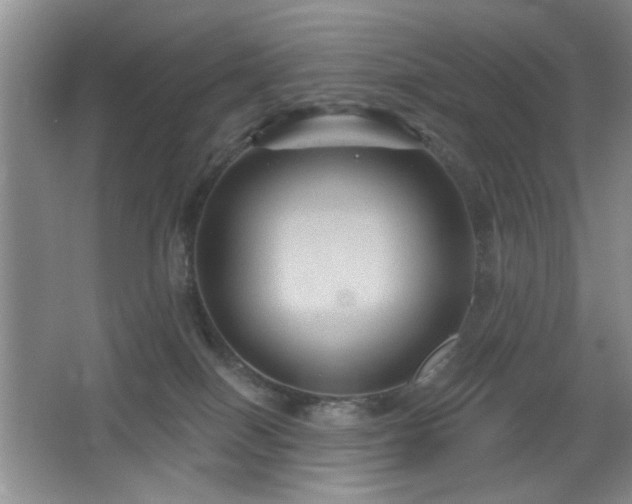 X0000066010086200603031234