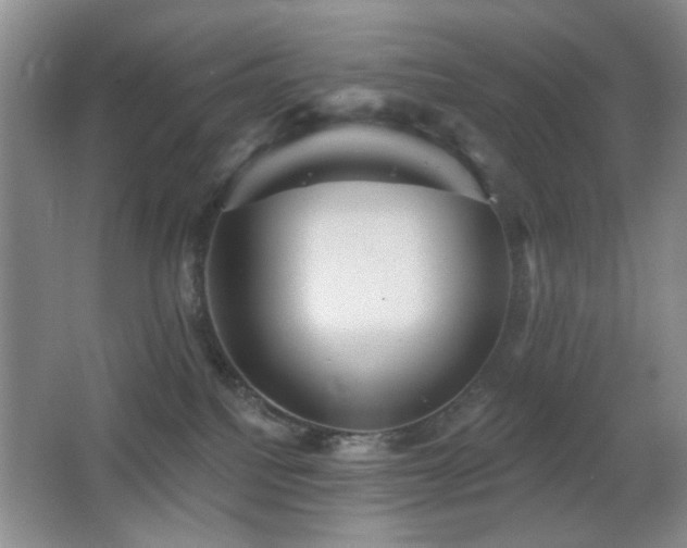 X0000066010088200603031234