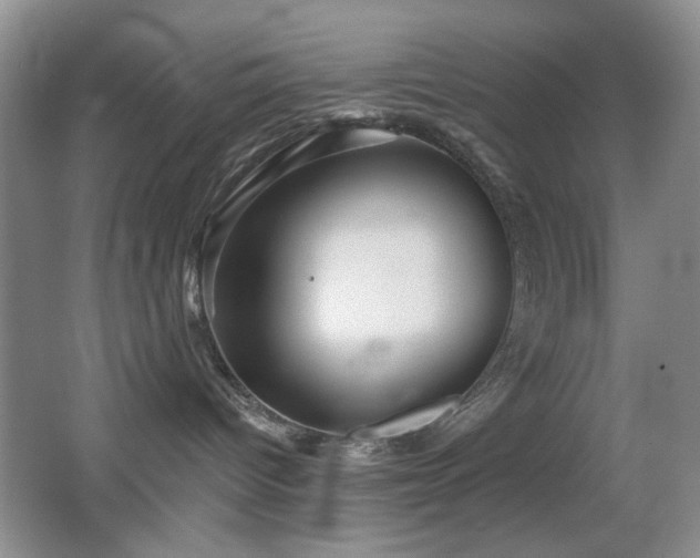 X0000066010096200603031234