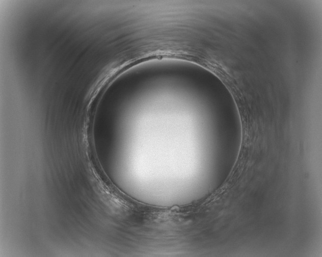 X0000066010098200603031233