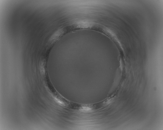 X0000066010114200603031233