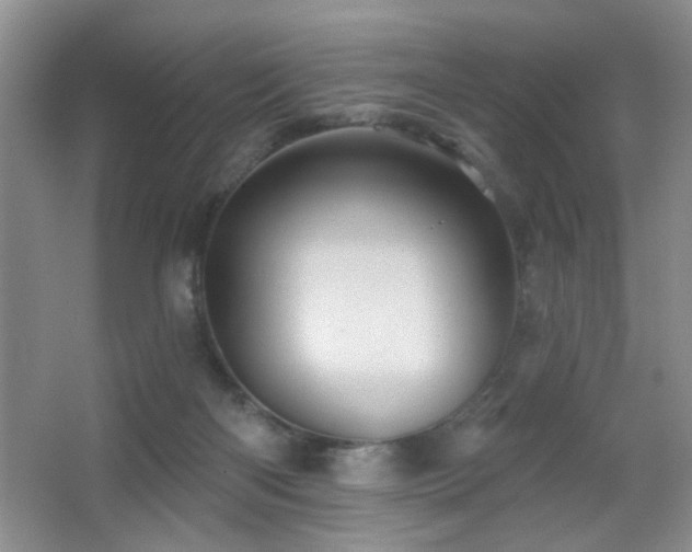 X0000066010122200603031233