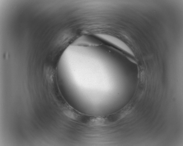 X0000066010125200603031233