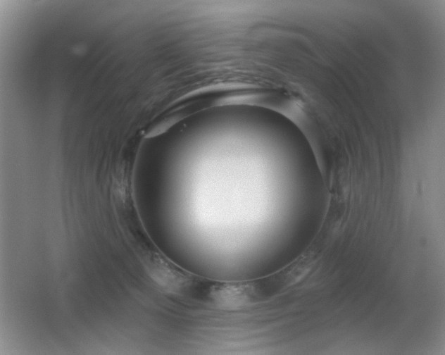 X0000066010129200603031233