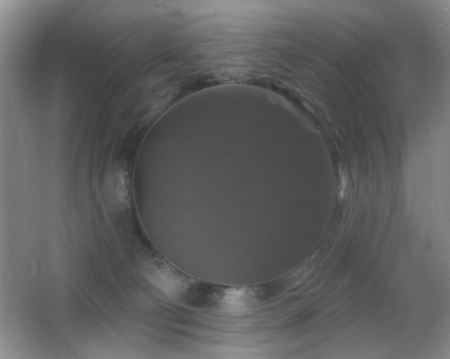 X0000066010130200603031233