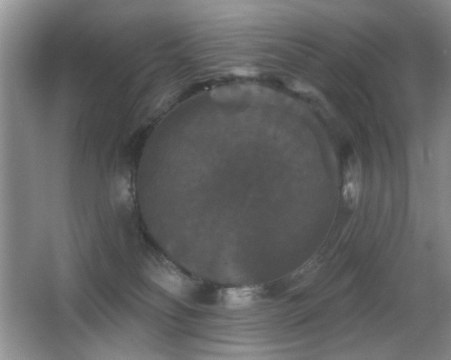 X0000066010134200603031233