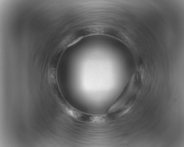 X0000066010141200603031233