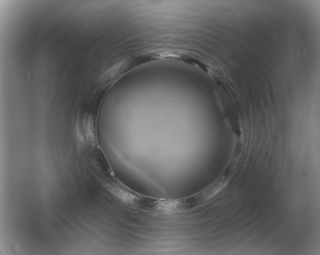 X0000066010143200603031233