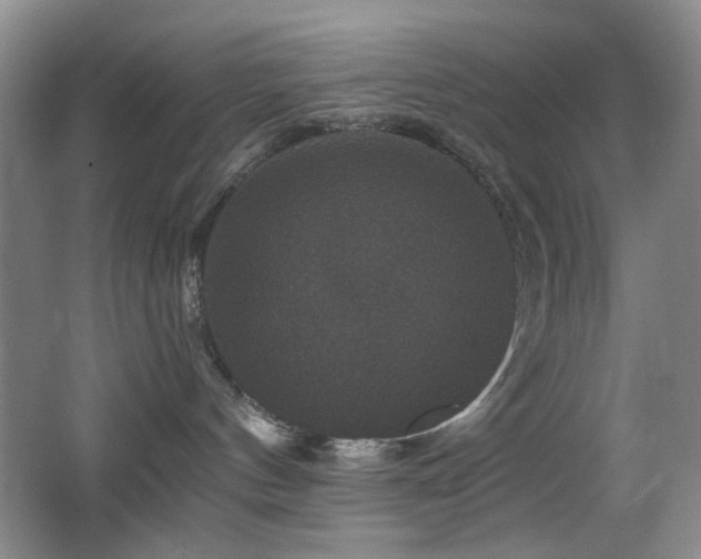 X0000066010144200603031233