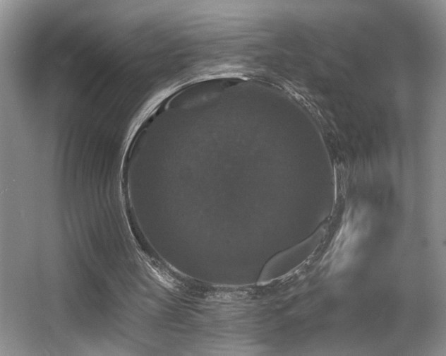 X0000066010147200603031232
