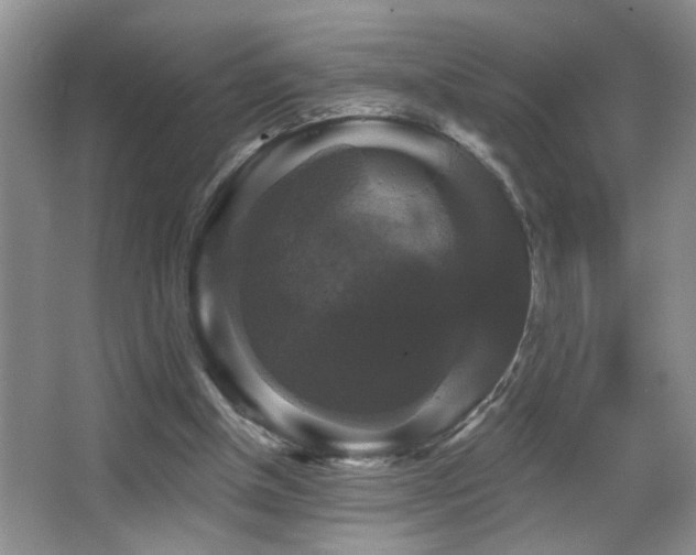 X0000066010154200603031232