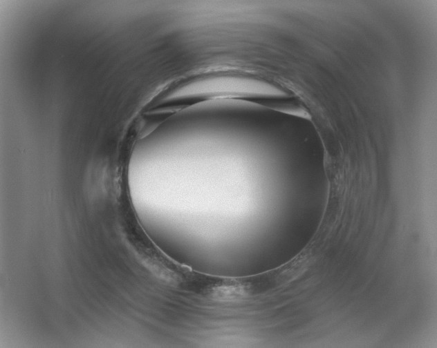 X0000066010160200603031232