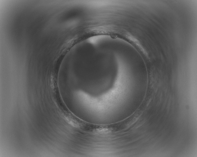 X0000066010161200603031232