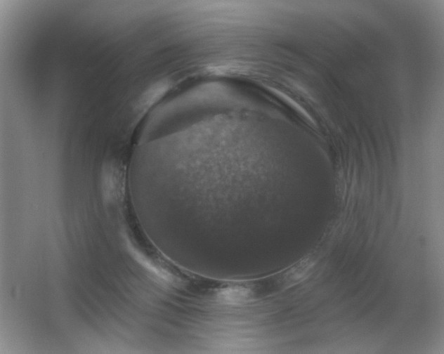 X0000066010168200603031232