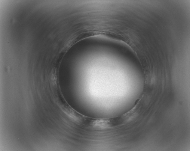 X0000066010179200603031232