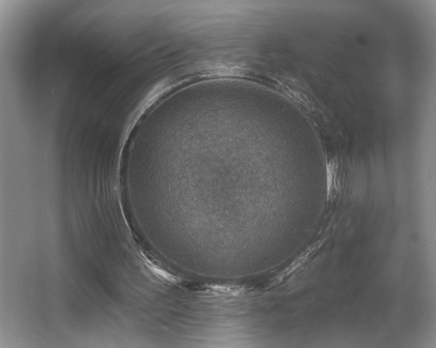 X0000066010195200603031232