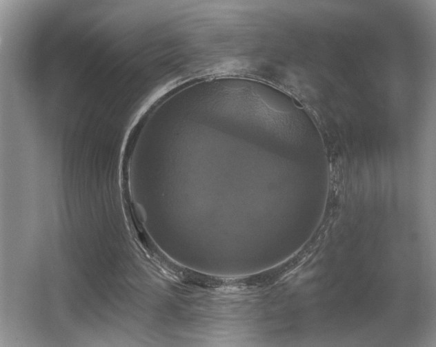 X0000066010196200603031232