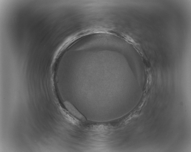 X0000066010197200603031232