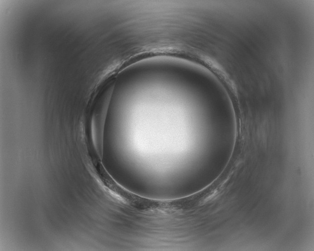 X0000066010201200603031232