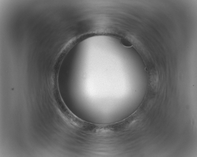 X0000066010208200603031232