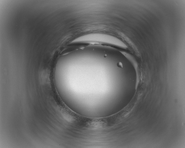 X0000066010209200603031232