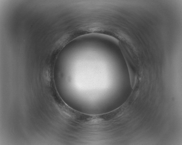 X0000066010210200603031232