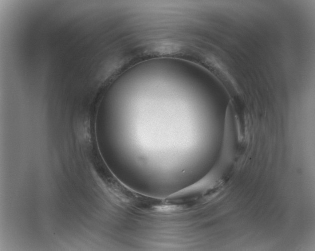 X0000066010212200603031231