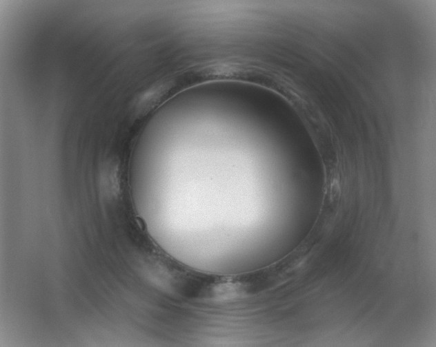 X0000066010216200603031231