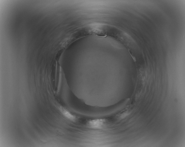 X0000066010223200603031231