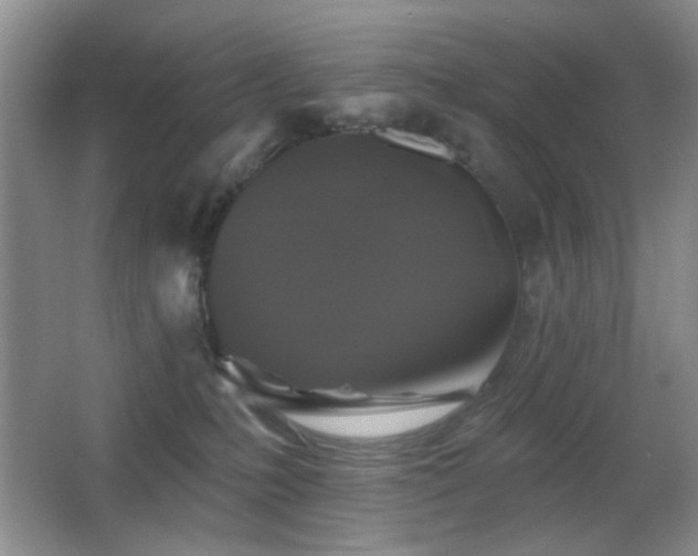 X0000066010231200603031231