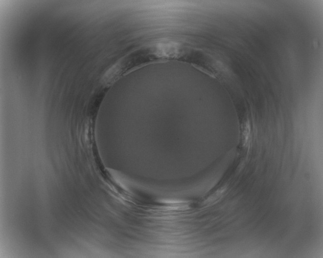X0000066010233200603031231