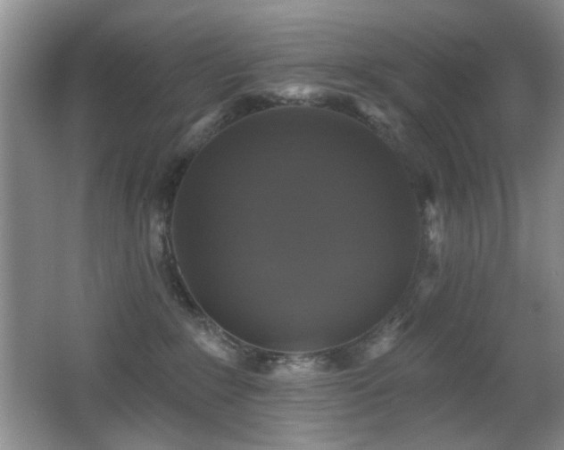 X0000066010235200603031231