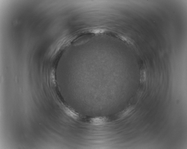 X0000066010238200603031231